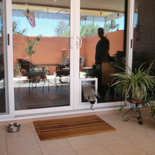 pet doors