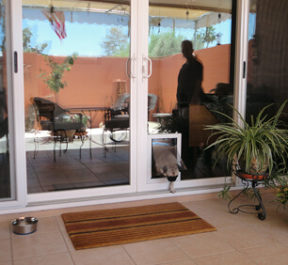 pet doors